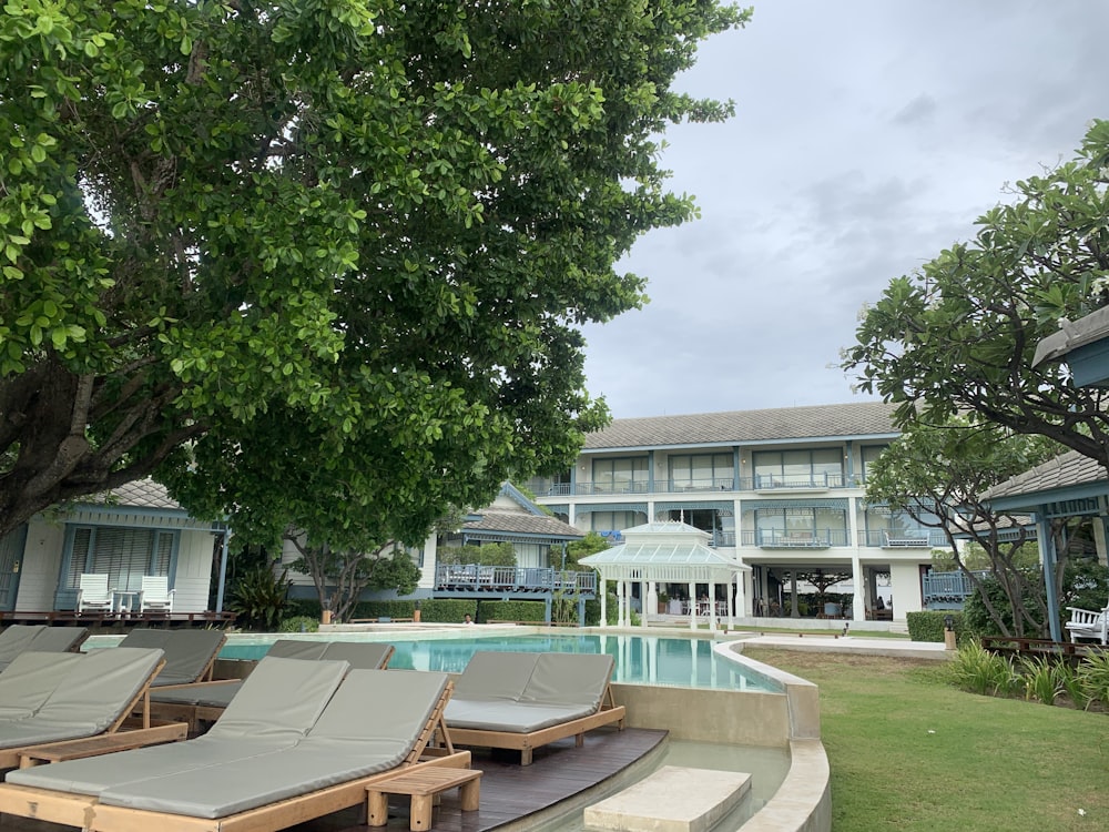 brown loungers beside trees