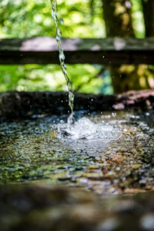 water dew