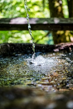 water dew