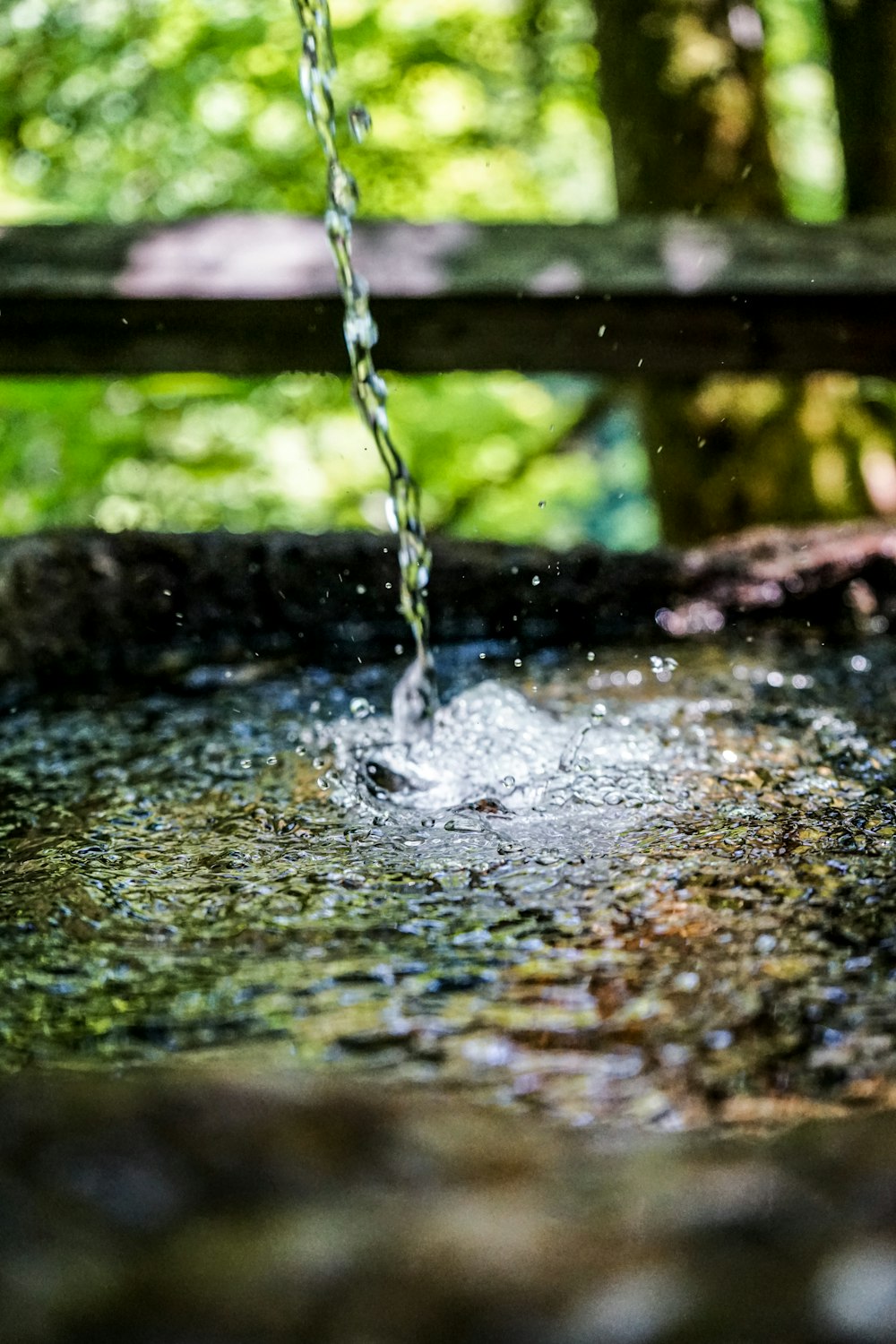 水露