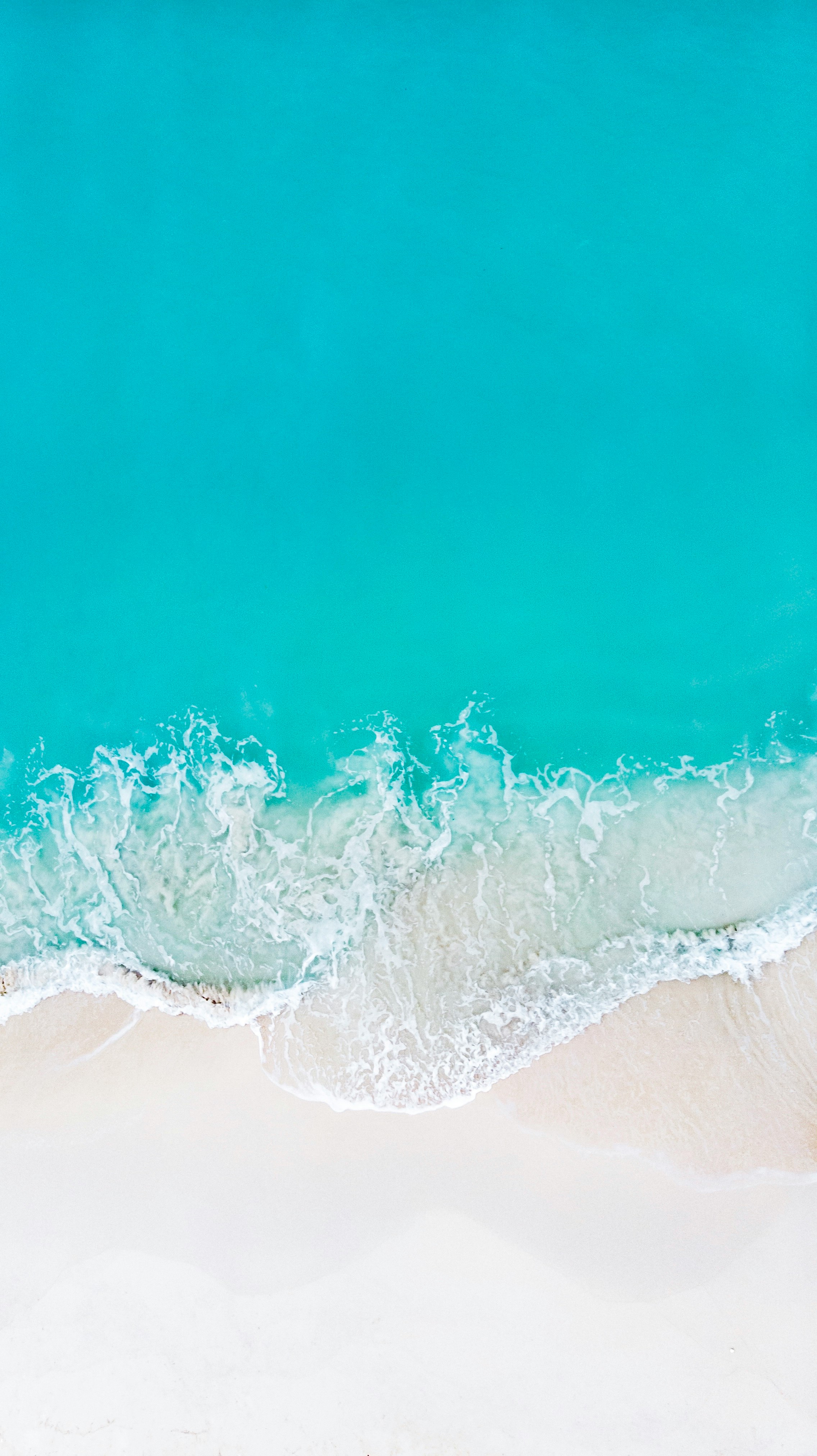 aerial photo of beach