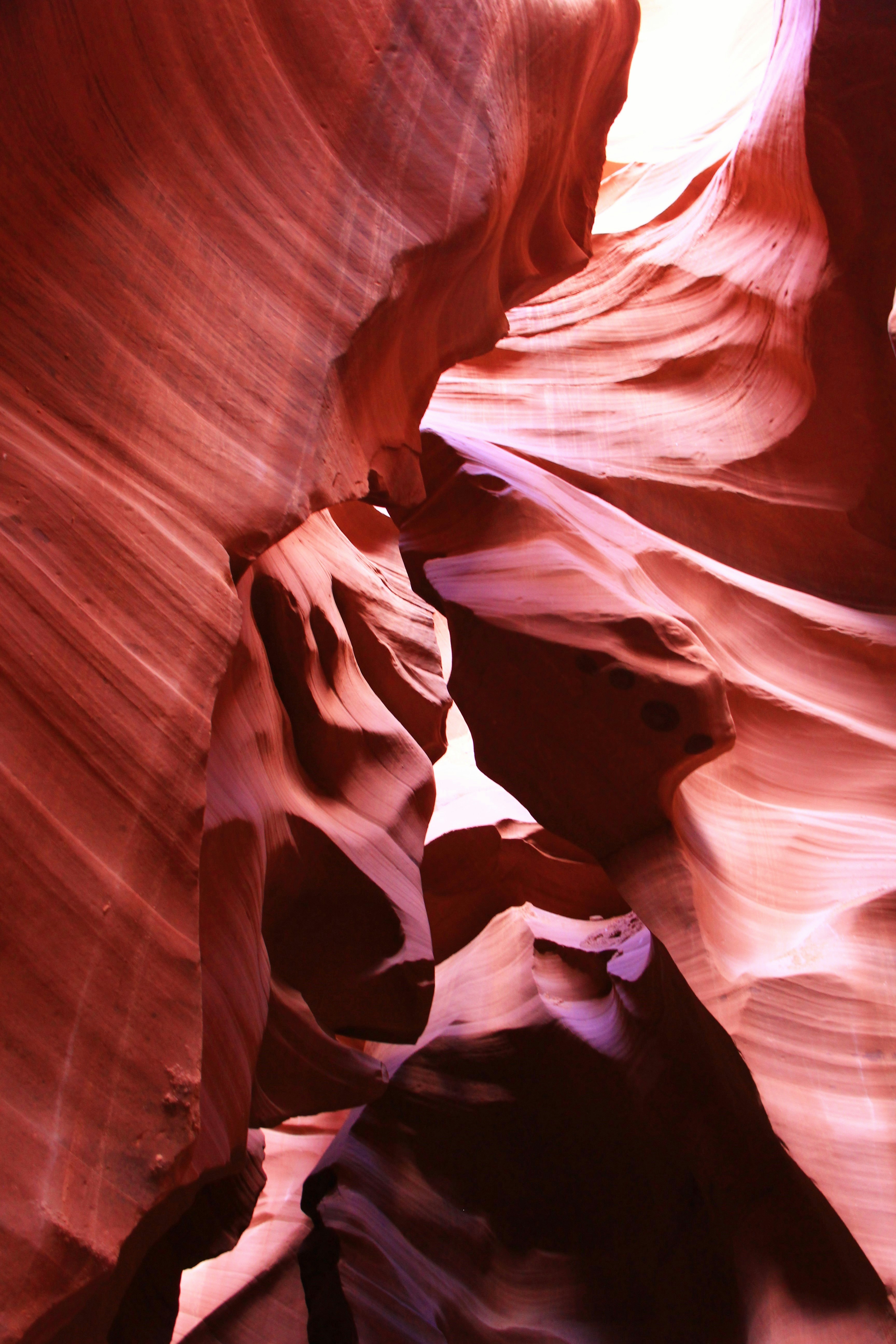 Photo by justinljwang