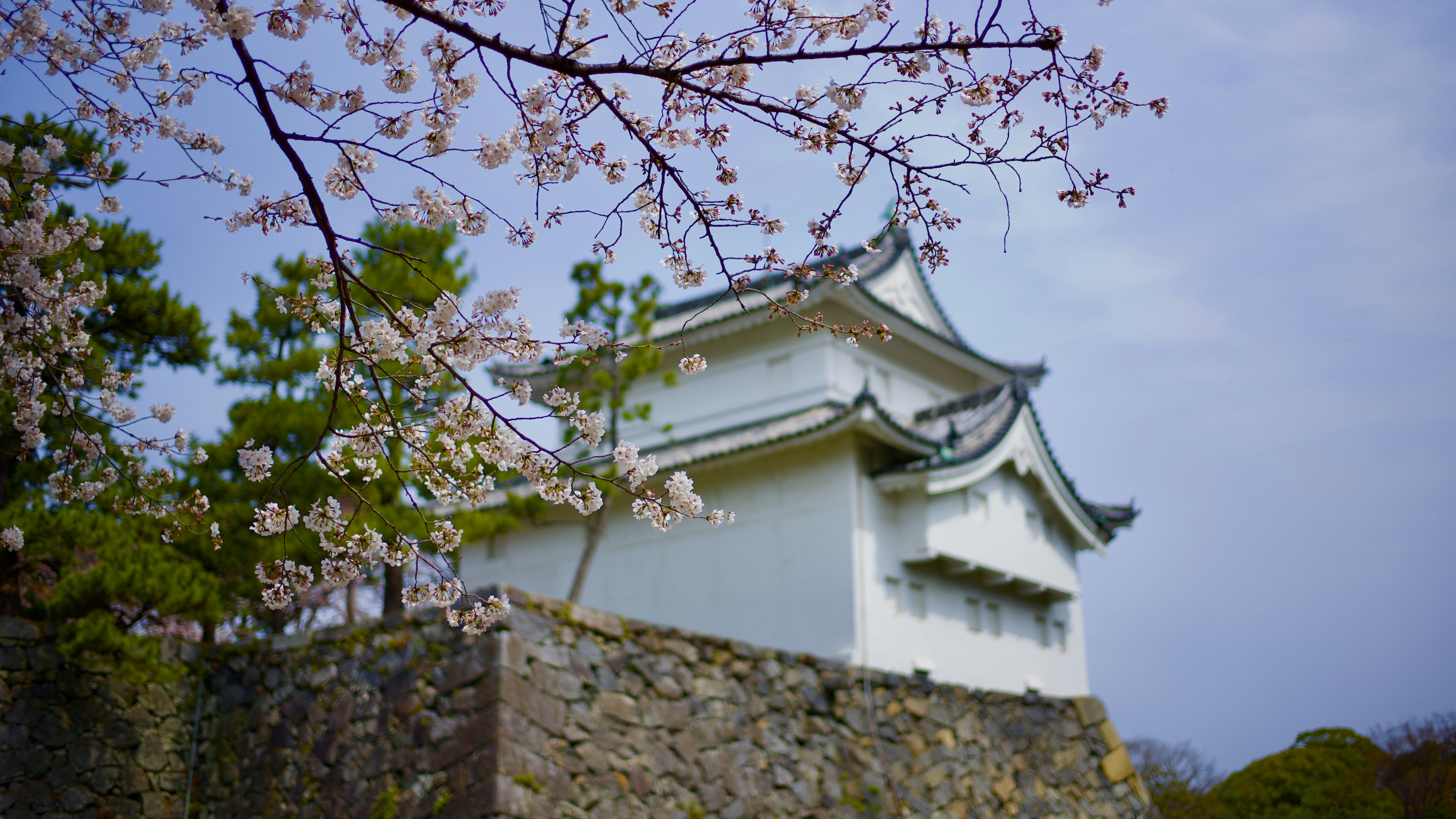 Photo by tomatouncle