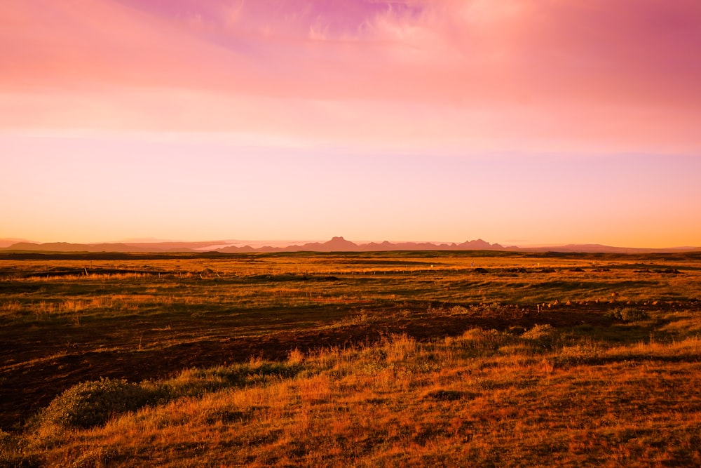 Fotografía de campo de la Hora Dorada