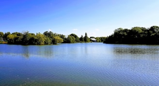 A serene view of a Masonic lodge building surrounded by trees and a clear sky.