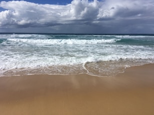 wave body of water on seashore