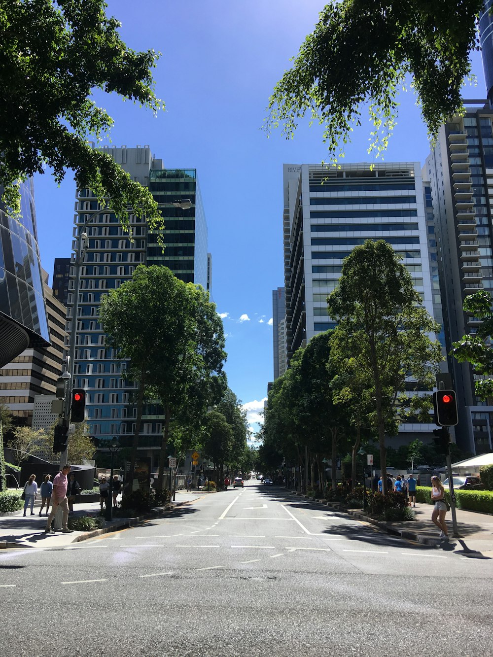 grey concrete buildings beside trees during day time