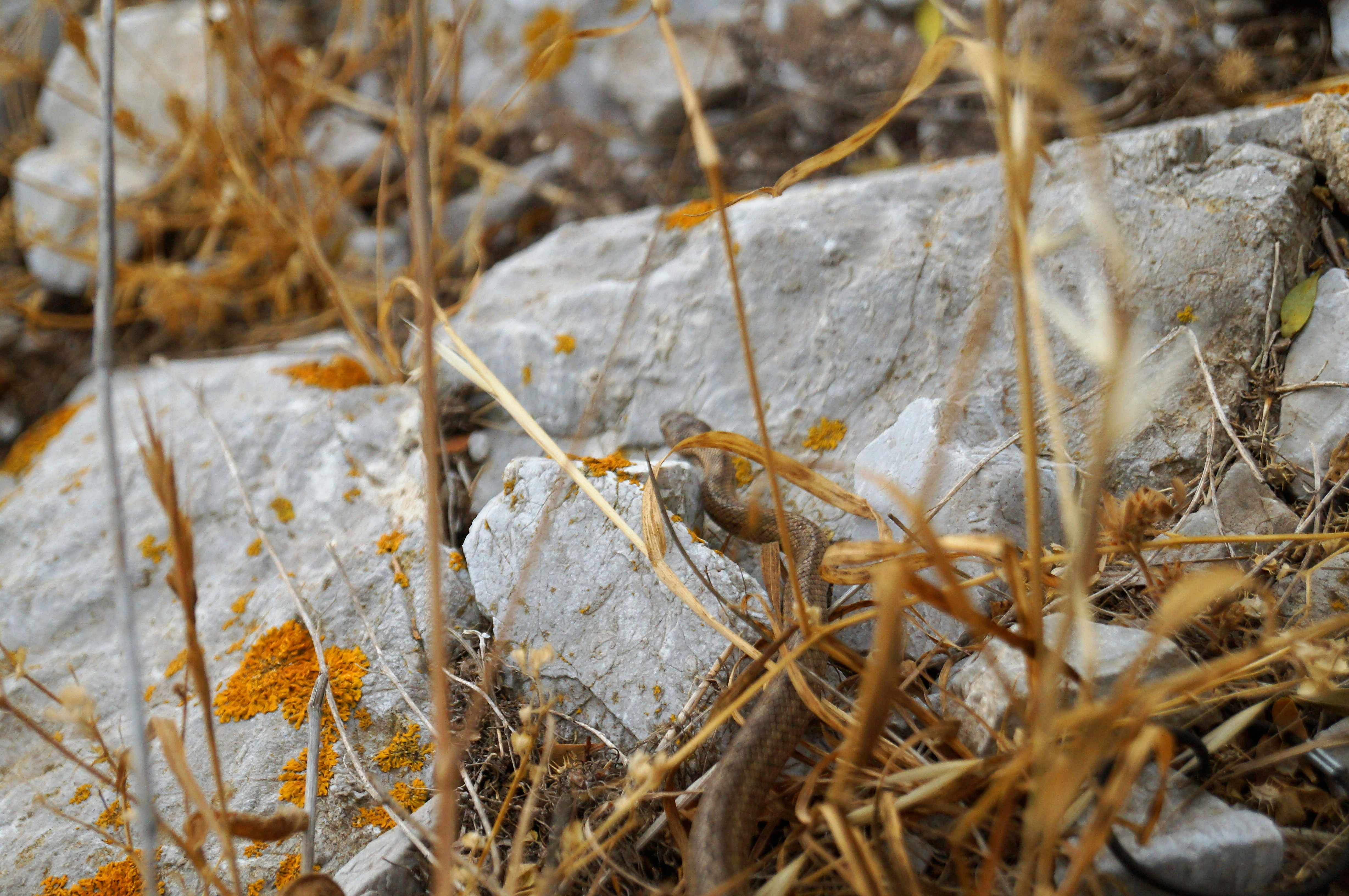 Photo by tracyandalusia