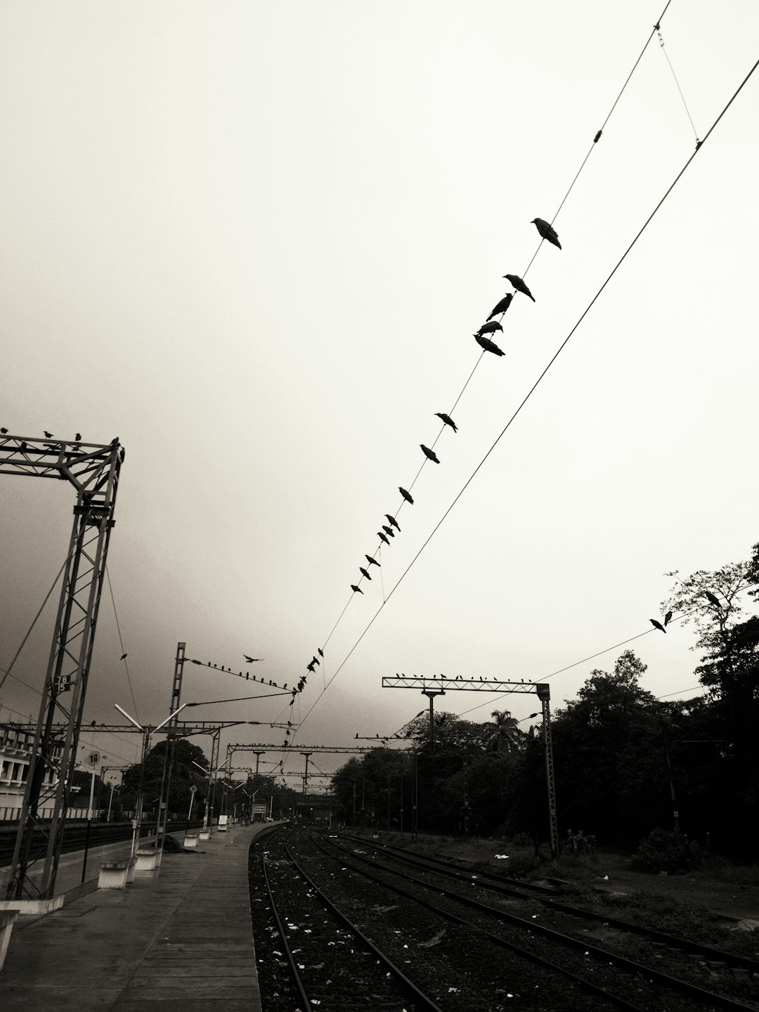 grayscale photography of train track