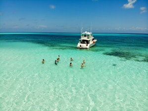people on body of water across white yacht