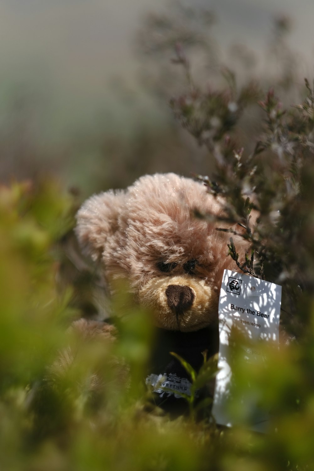 beige bear plush toy