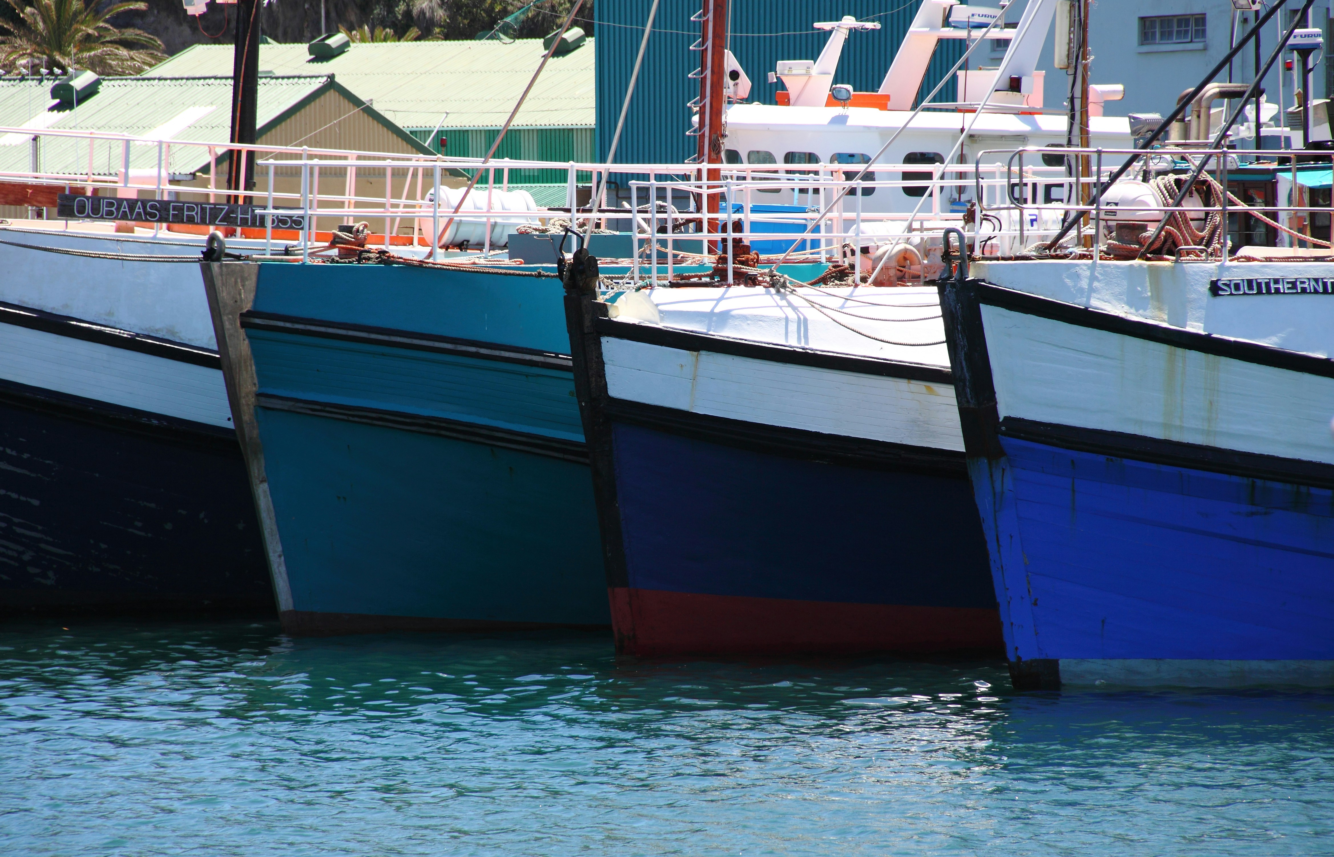 Photo by shaunmcreatives