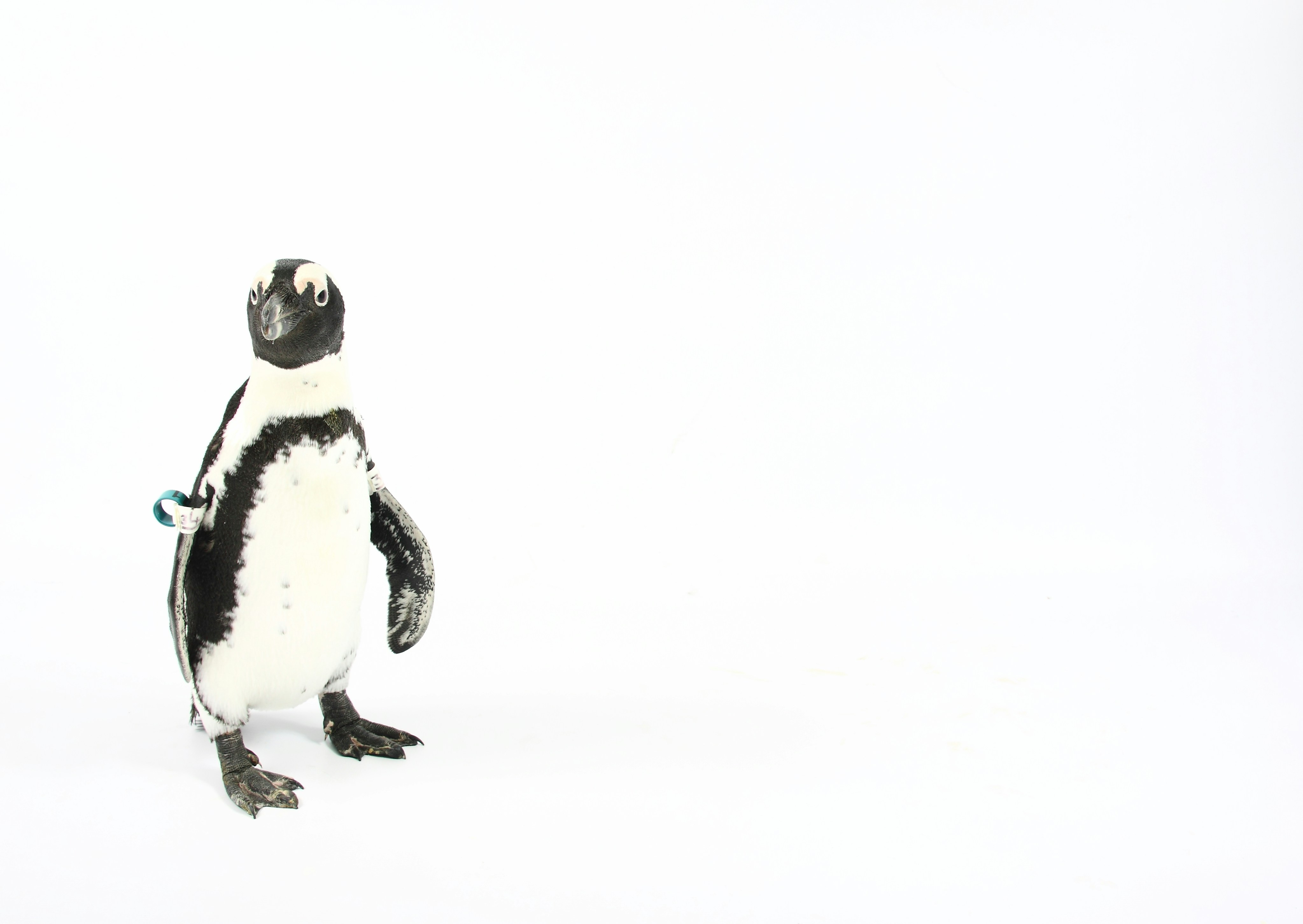 Photo by shaunmcreatives