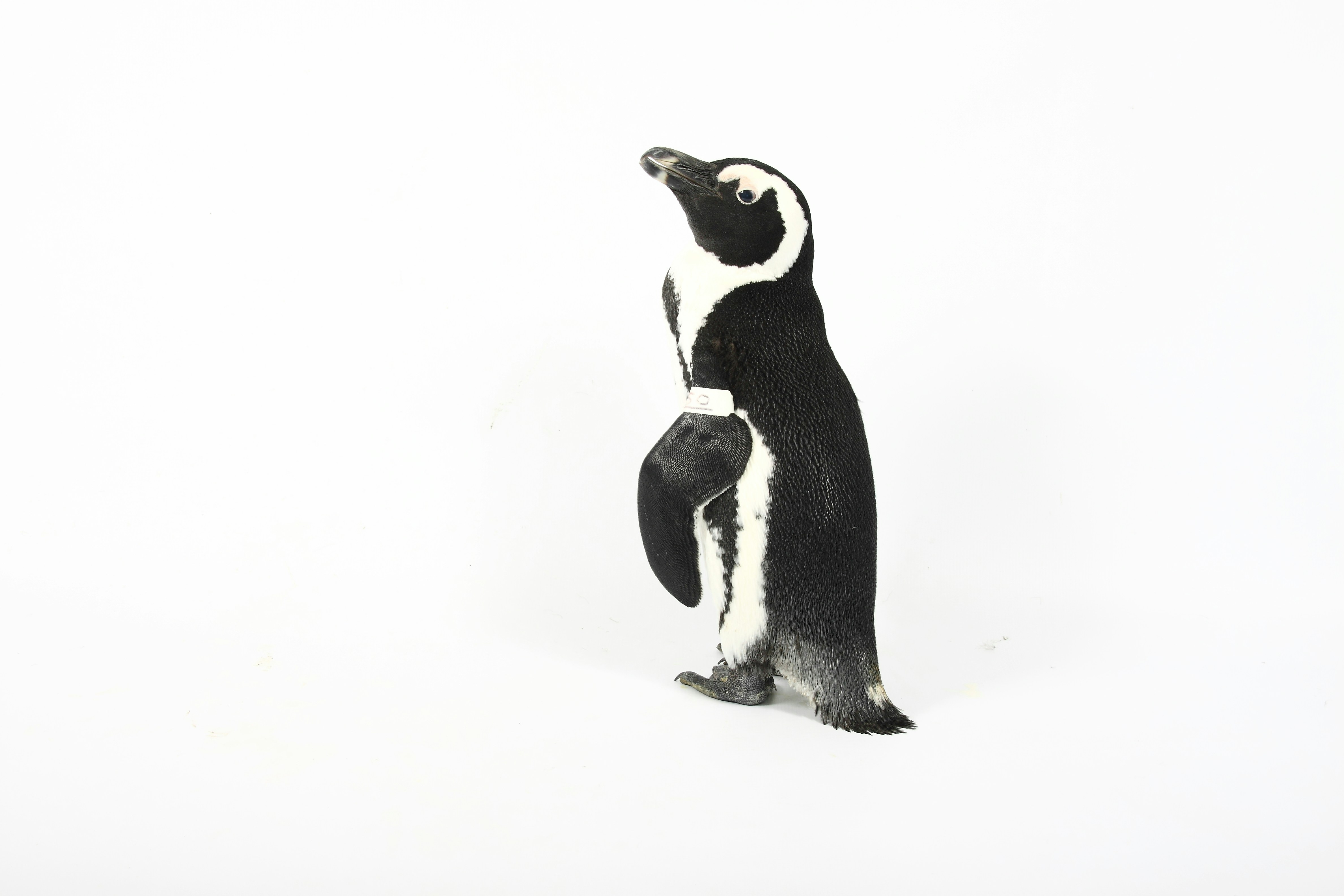 Photo by shaunmcreatives