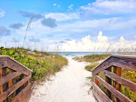 walkway to beach near gulf of mexico