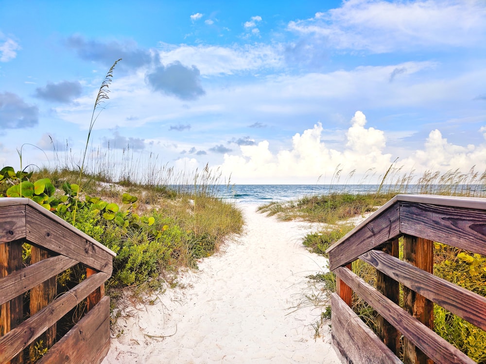 gray wooden bridge near sea