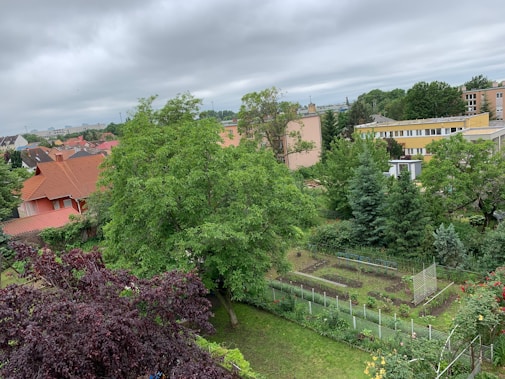 A garden landscape featuring various trees and shrubs, with a residential area in the background. Several houses with red-tiled roofs are visible, along with a large green space, well-tended gardens, and a variety of trees and plants.