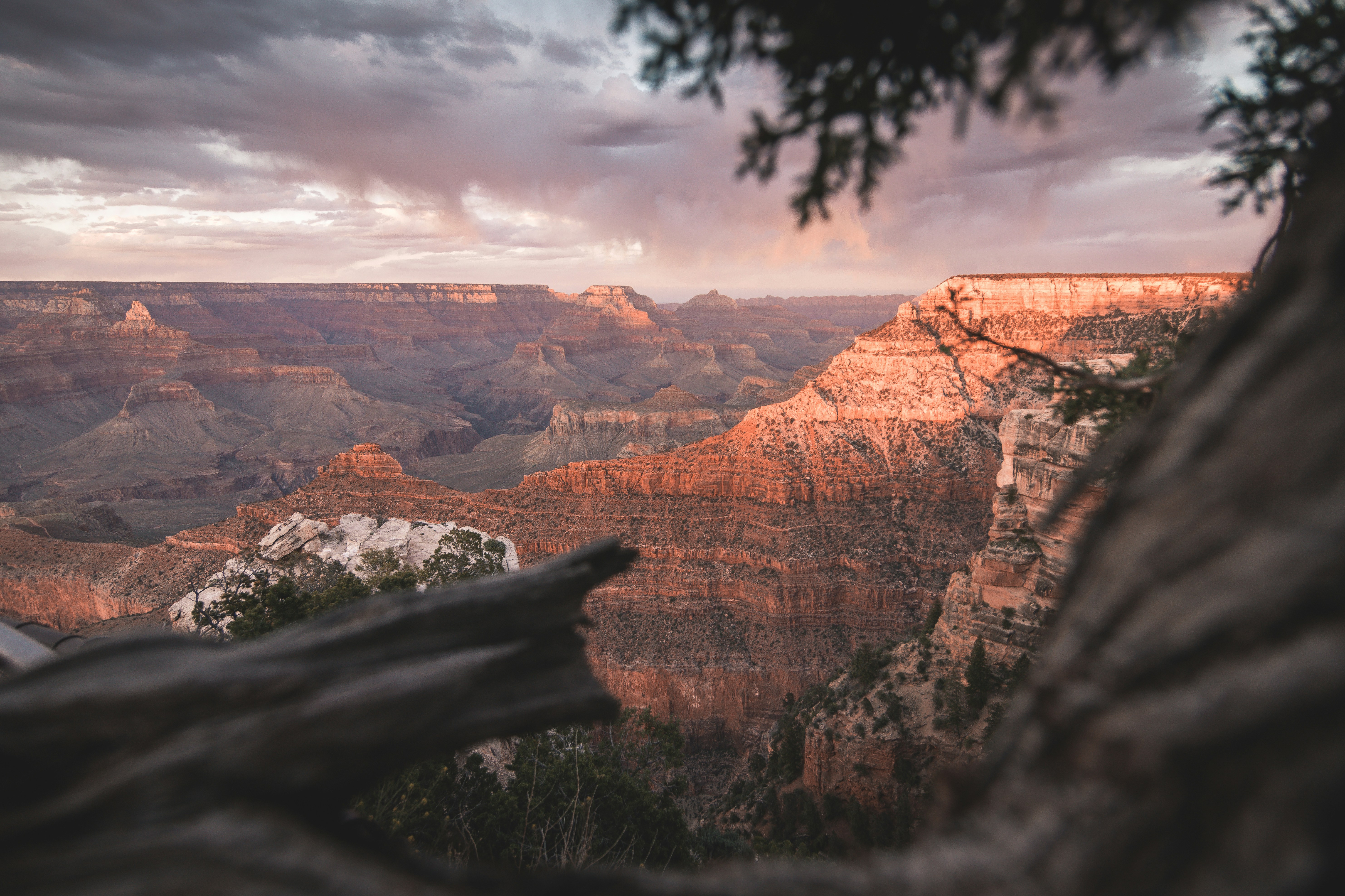 Photo by crispy_tastic