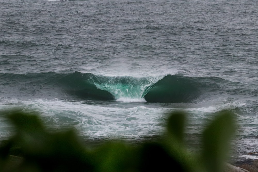 selective-focus photography of sea sink hole