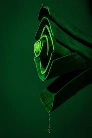 dew drops dripping from plant truck