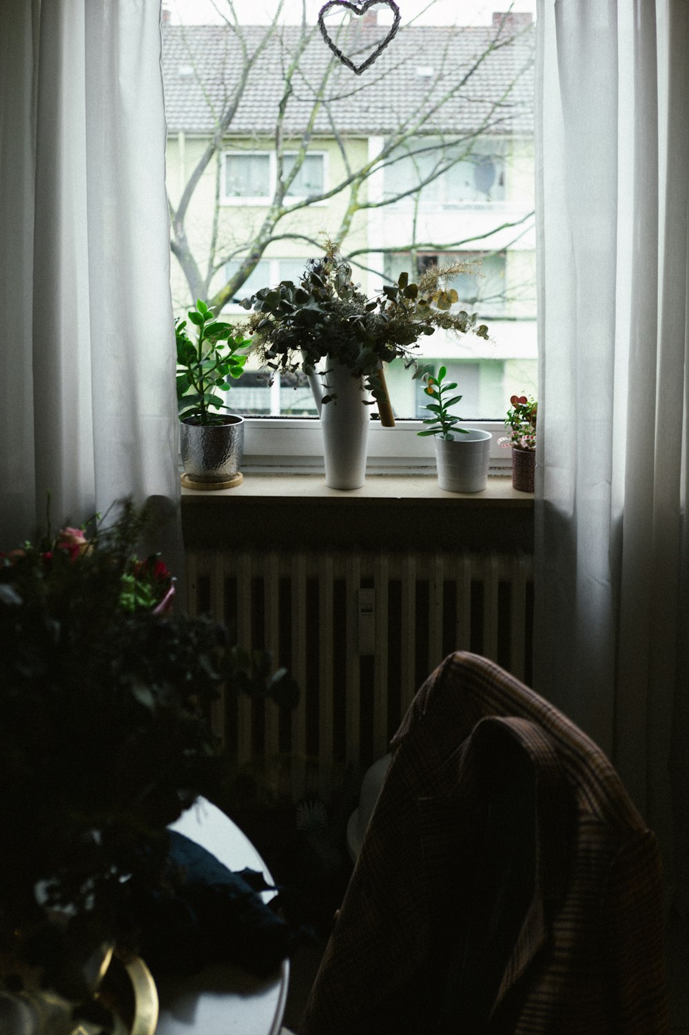 flower on the vase near the window