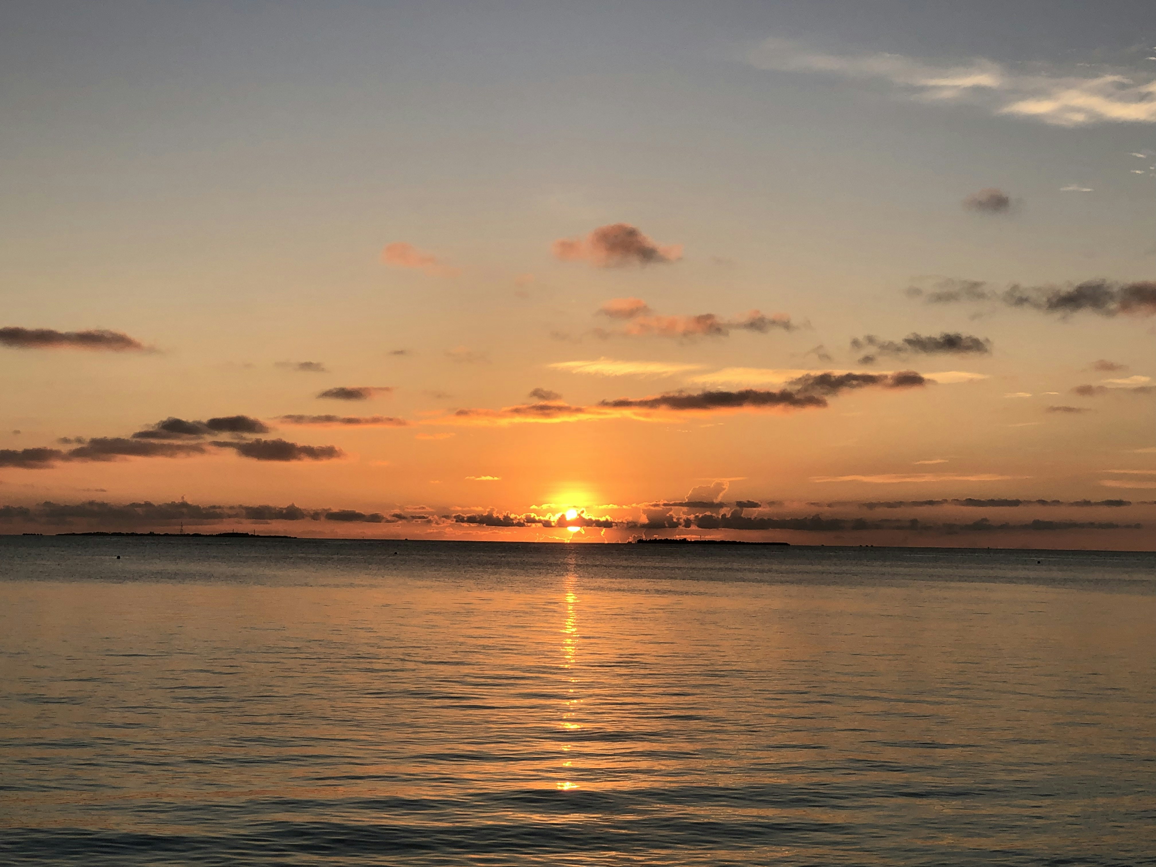 Photo by redmistmatt