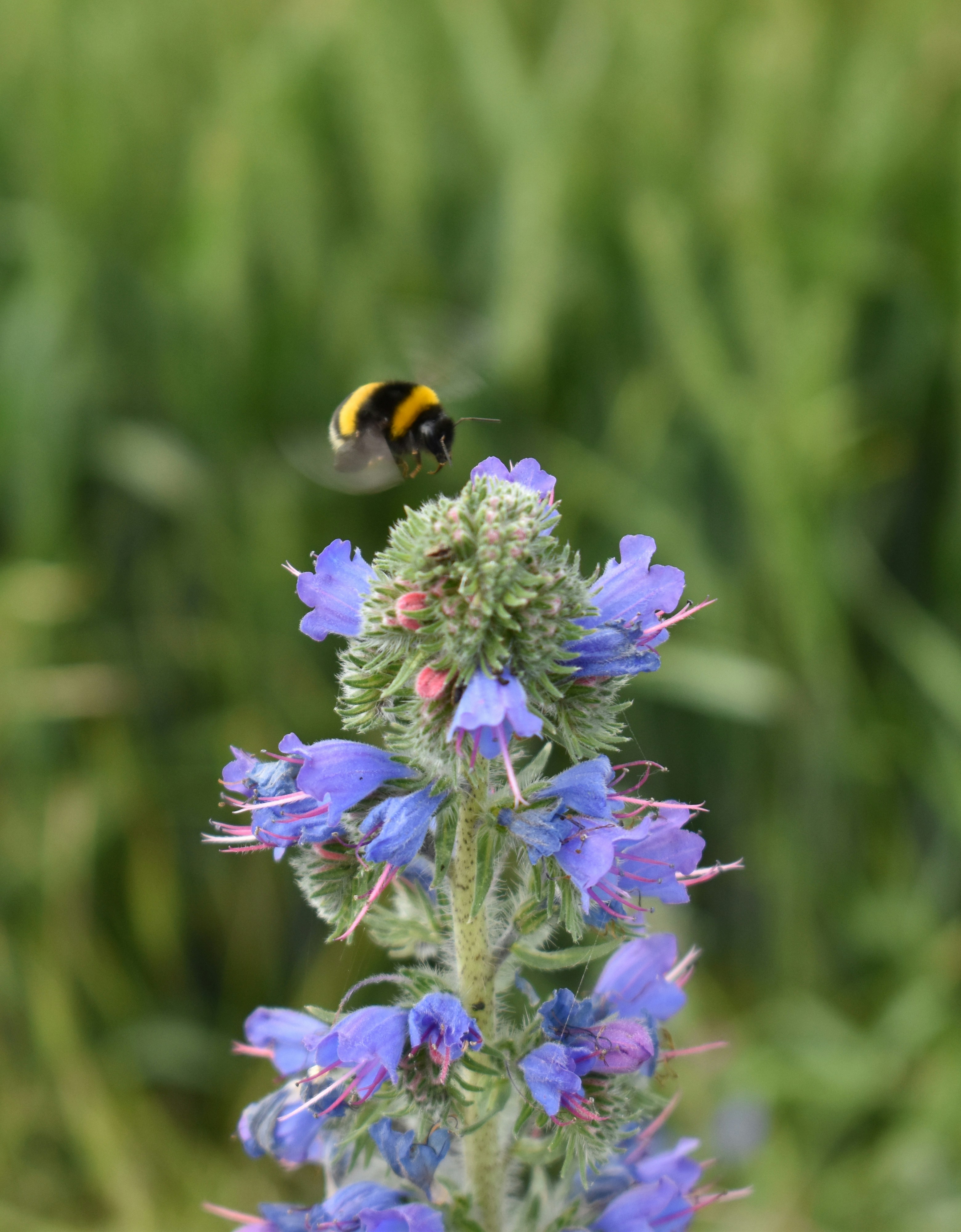 Photo by claude_rz10