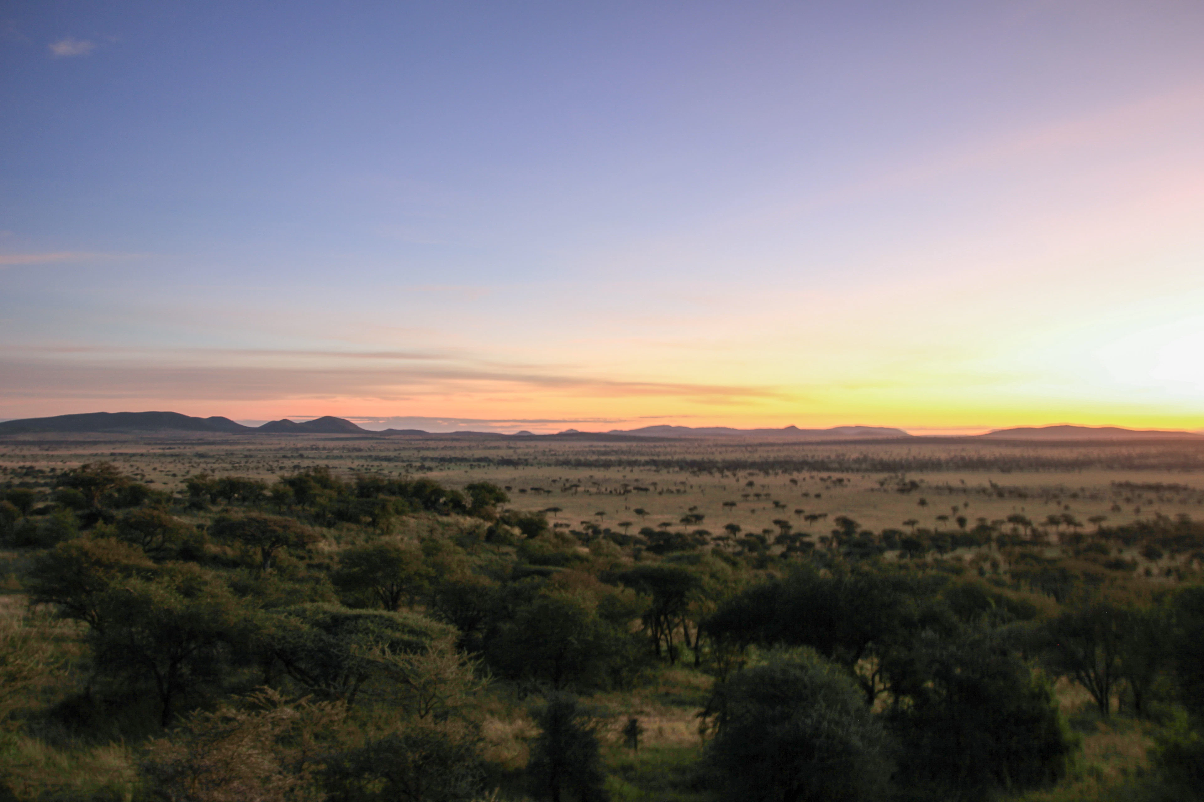 Sunset over the Serengeti: acacia scrub, a wide plain and distant hills, Tanzania