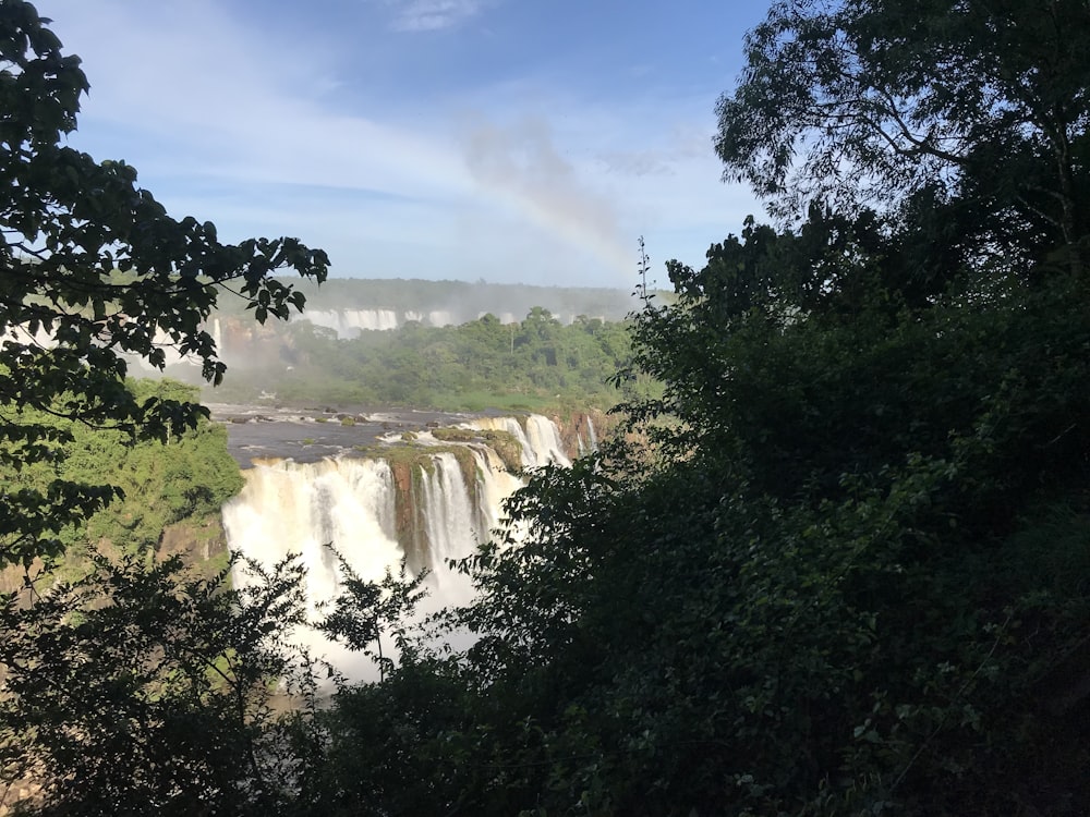 green trees near waterfalls during daytime