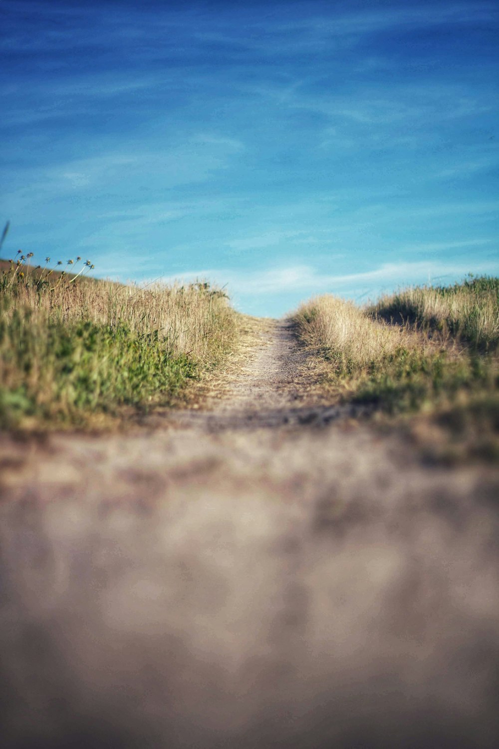 empty rough road in between grass field under clear blue sky during daytime