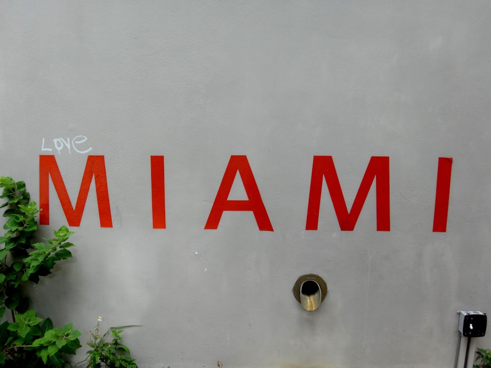 amore Miami decorazione murale vicino alla pianta a foglia verde