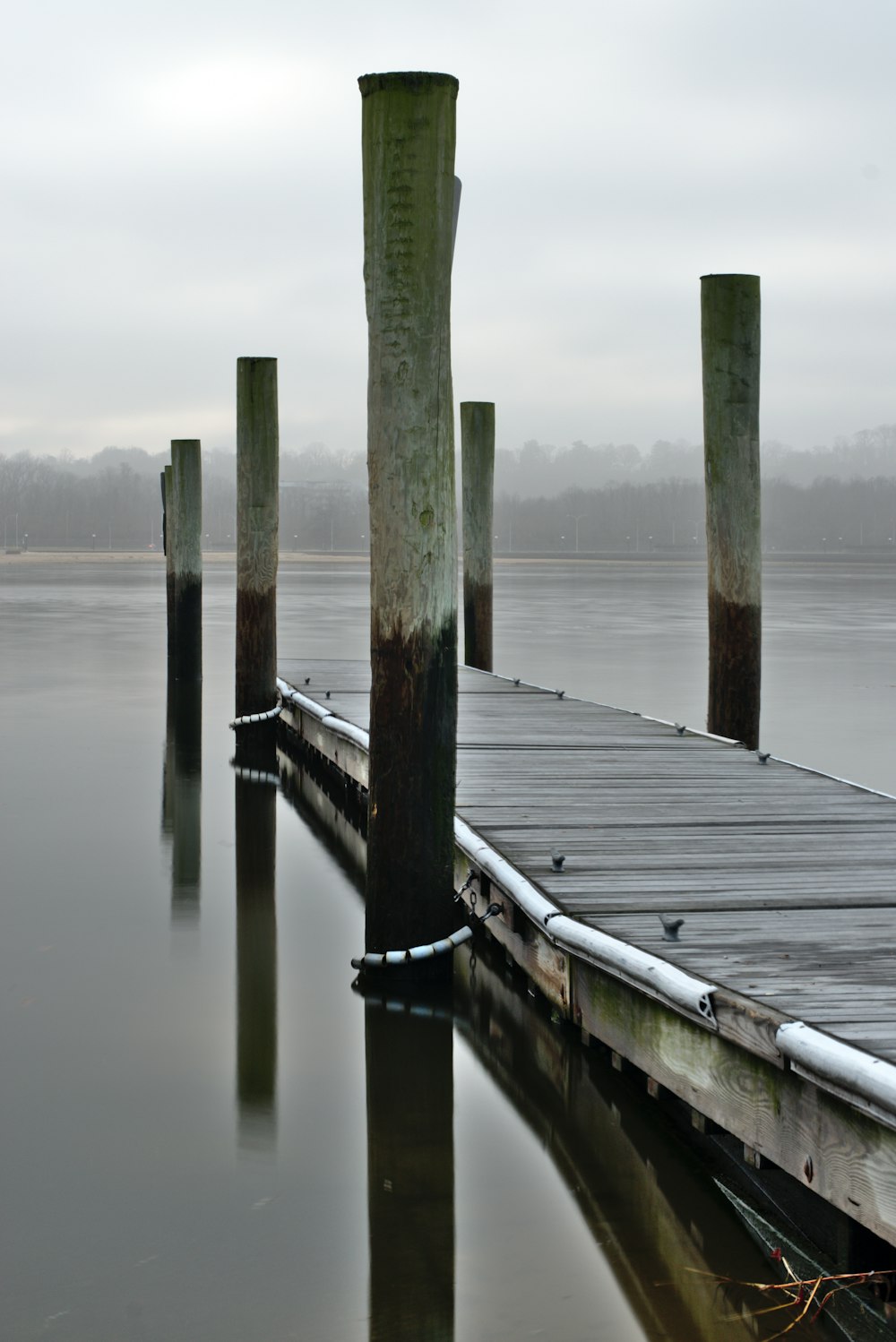 brown wooden dock photo across body of water