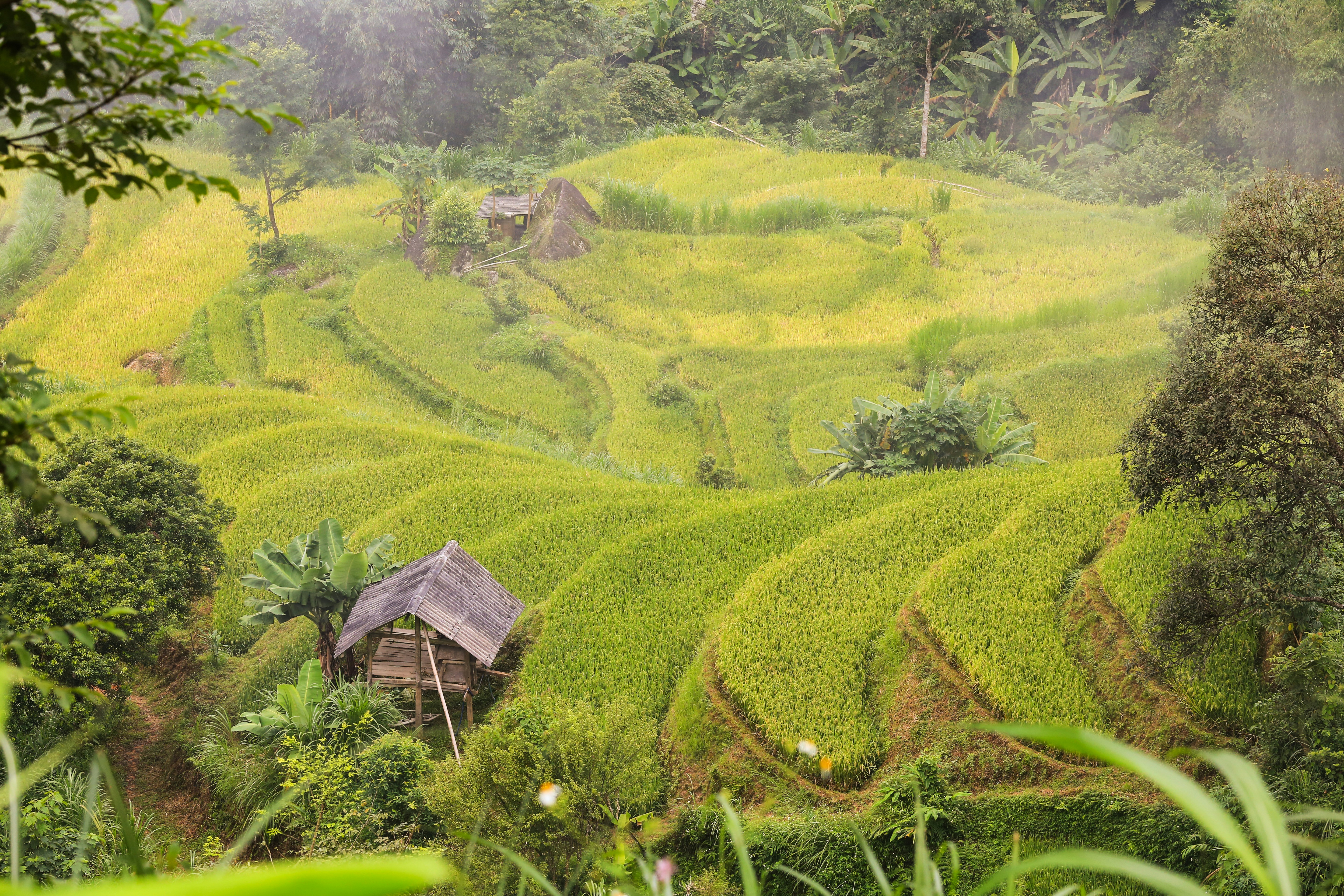 Photo by vietnamisawesome