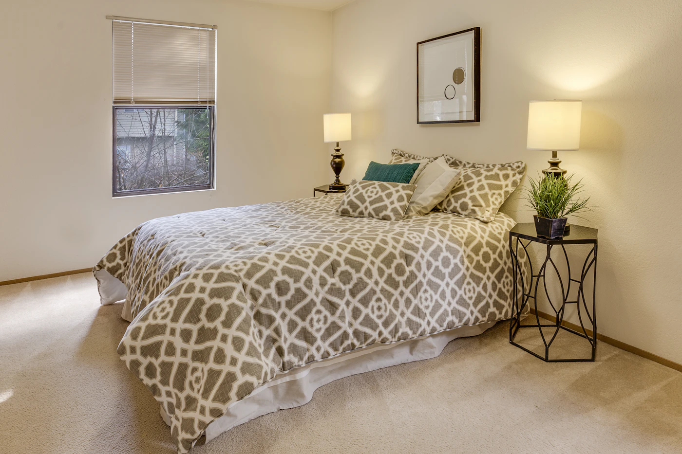 Plush carpet in a cozy Park Ridge bedroom