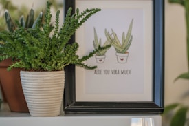 A framed illustration with two aloe plants in pots featuring smiling faces is placed next to a real green potted plant with spiky leaves. The framed illustration contains a pun reading 'Aloe You Vera Much', suggesting a playful and affectionate tone. The scene includes a wooden shelf forming the base of the composition.