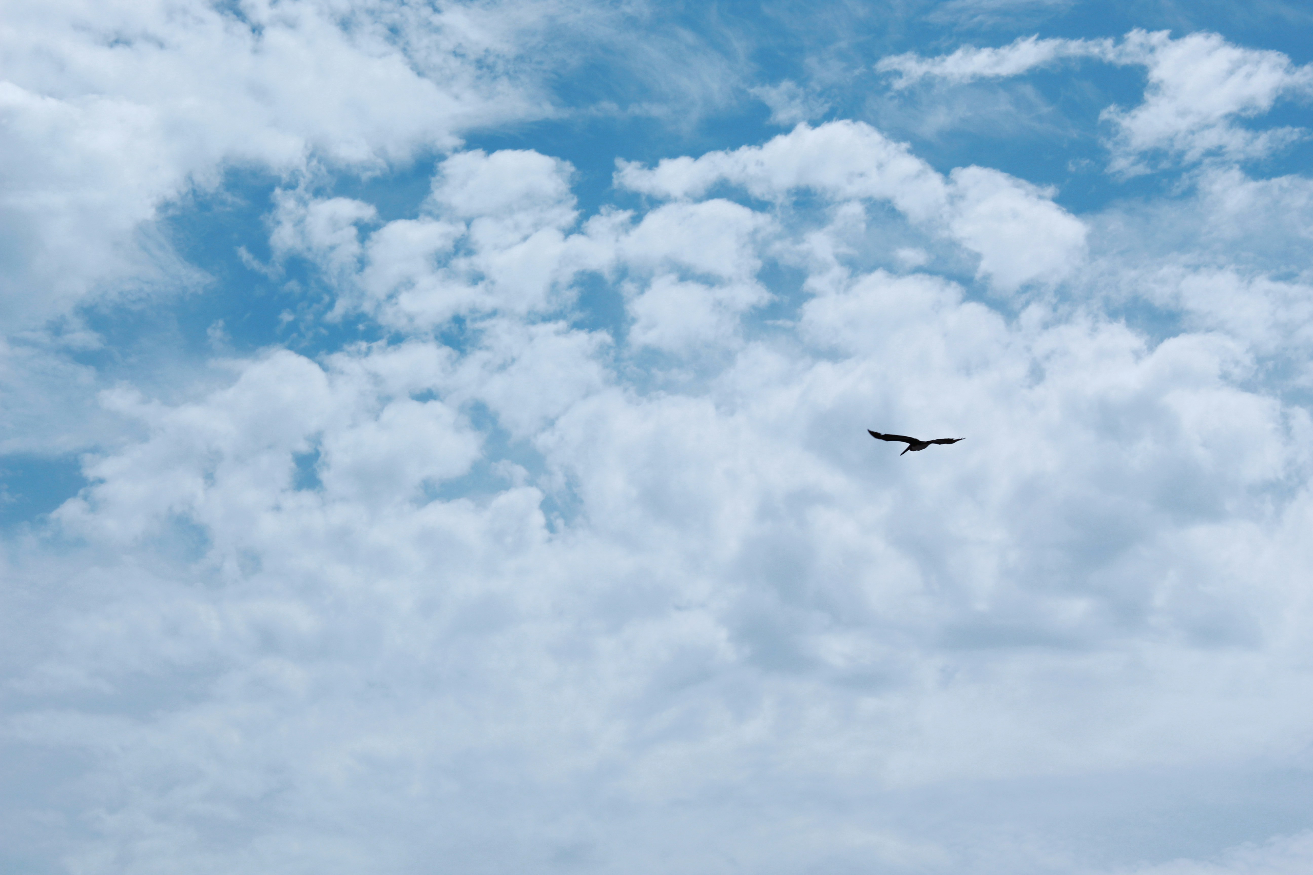 Photo by winged_olympian