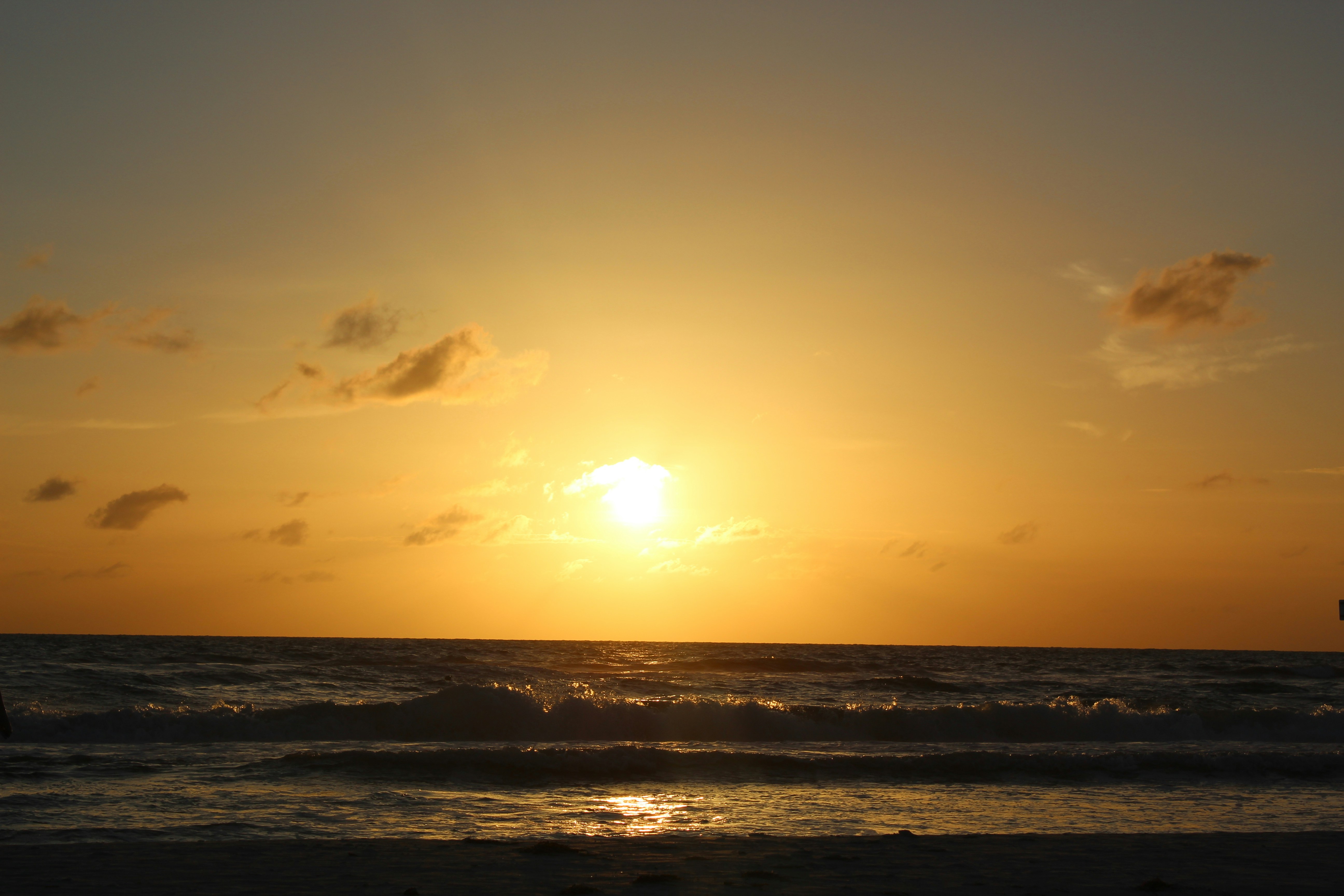 Photo by winged_olympian