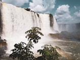 waterfalls near plant