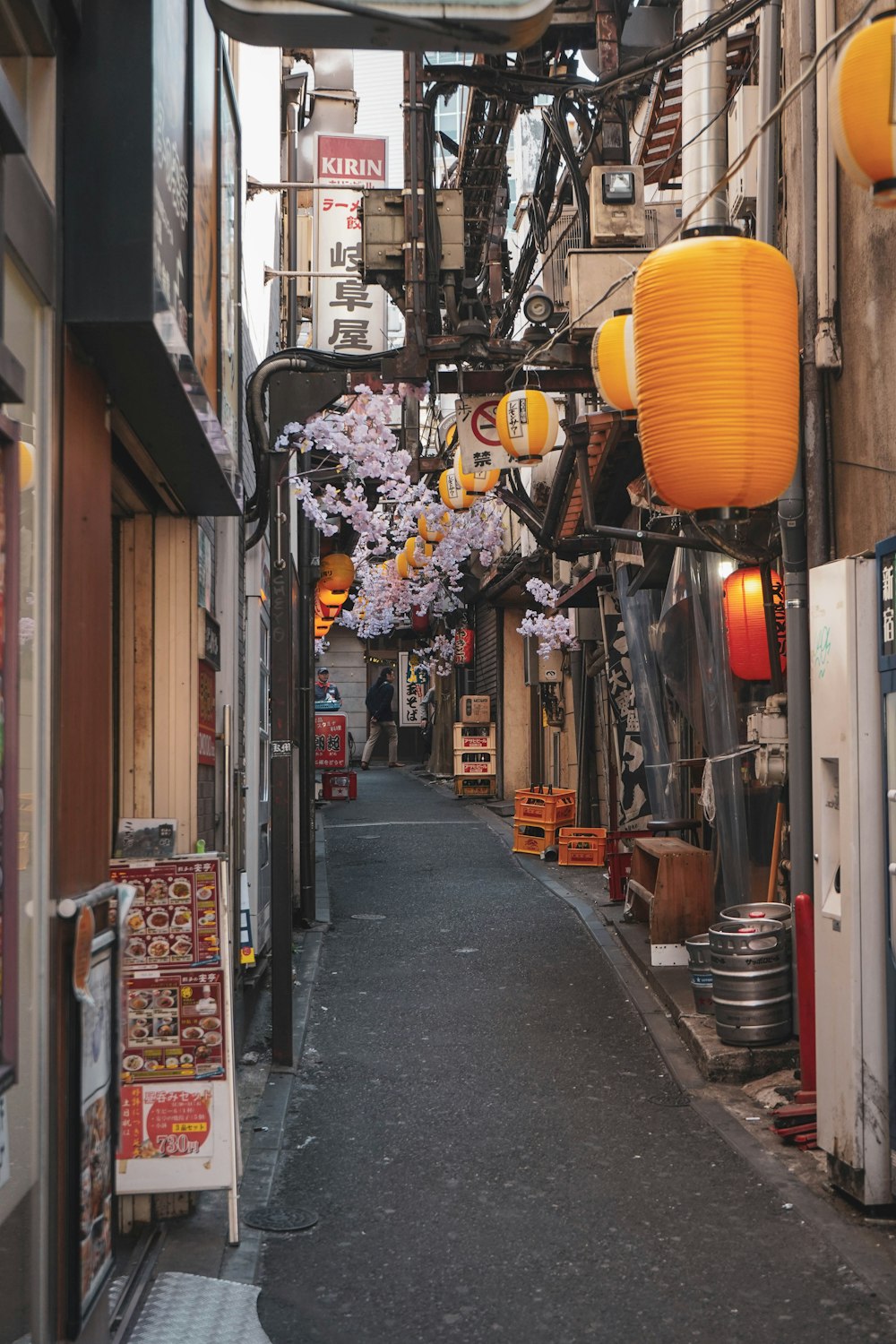 Rue vide entourée de maisons