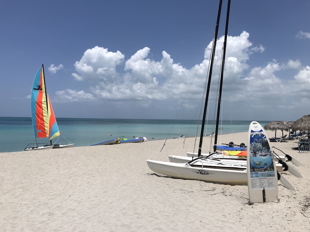 sailboats on shore during day