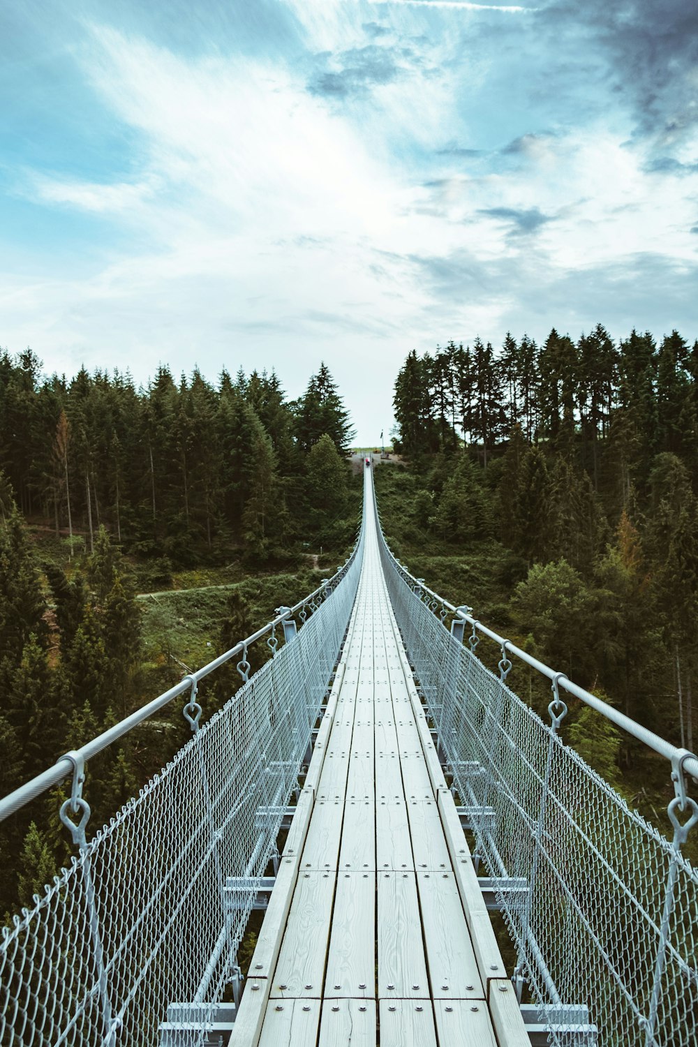 Brücke aus grauem Stahl