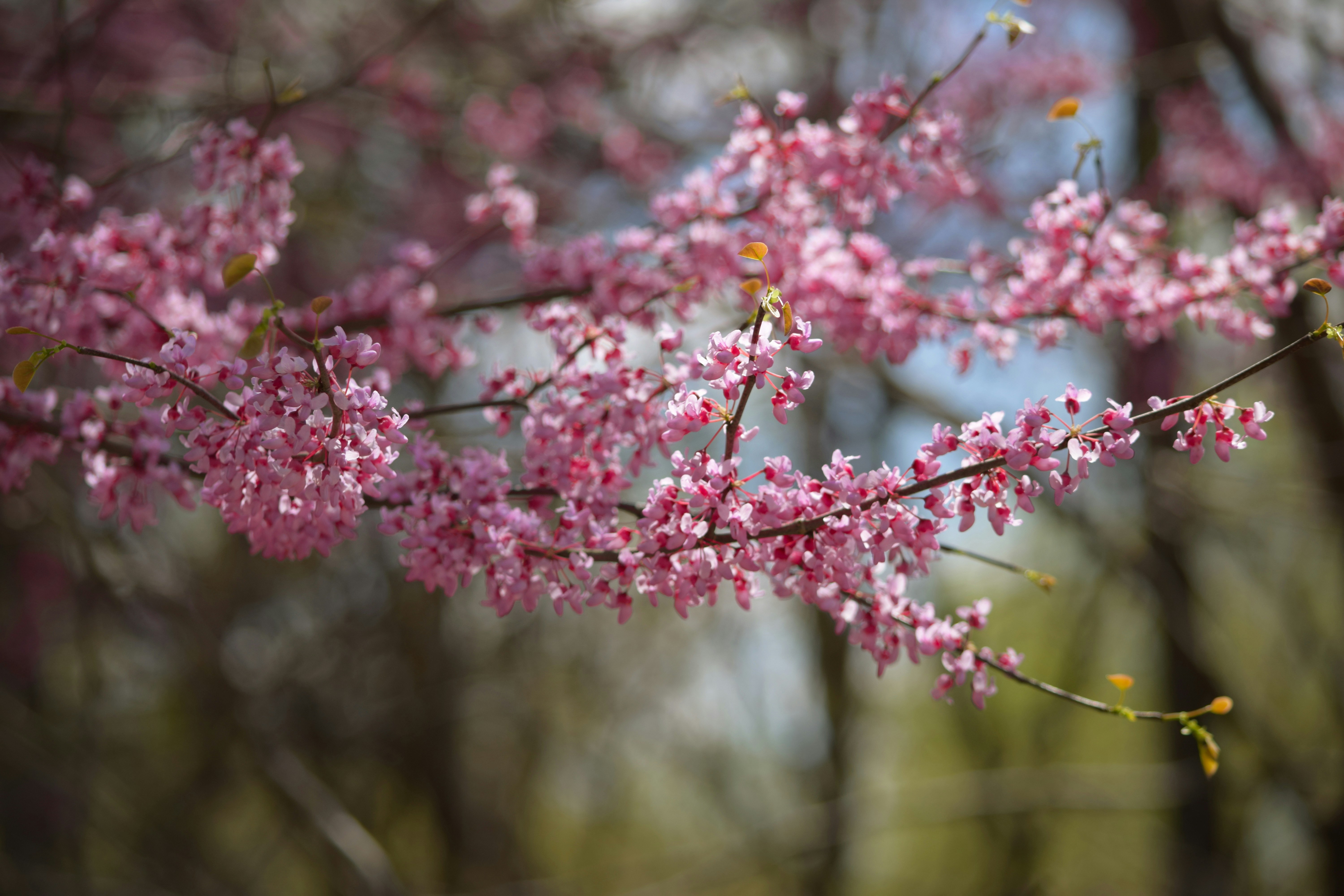 Photo by samanthaccp