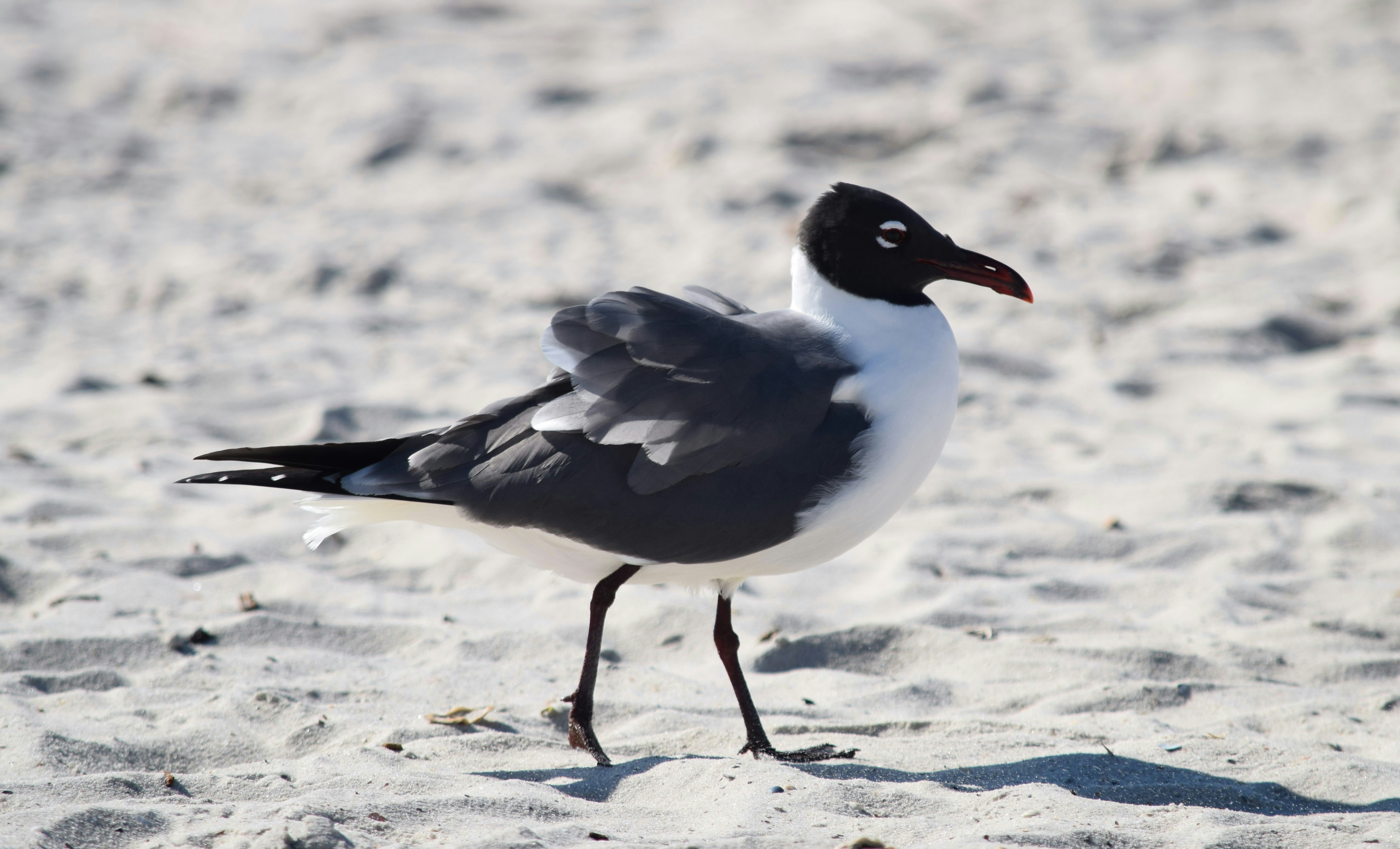 Photo by samanthaccp