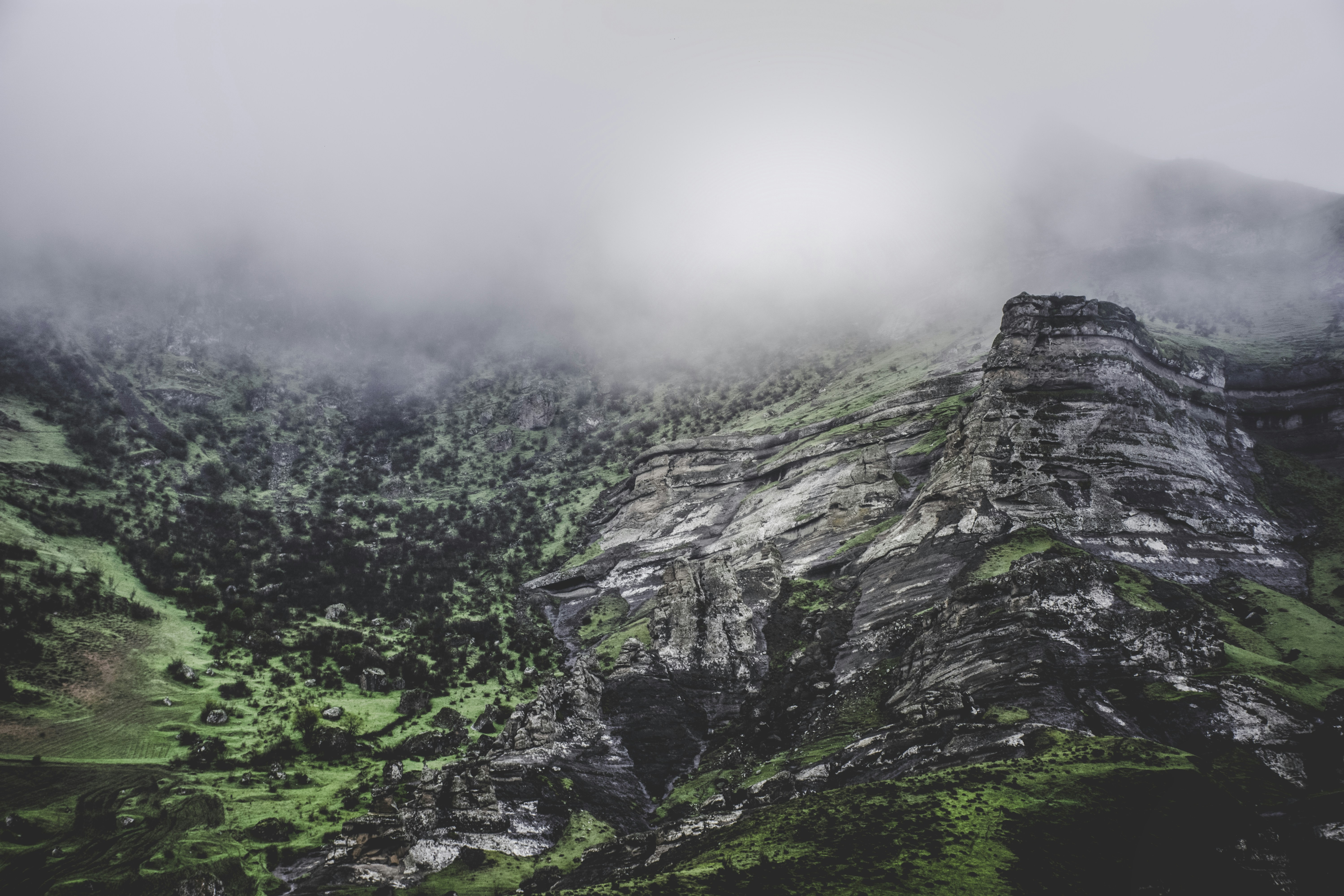 Photo by nima_maraghechi