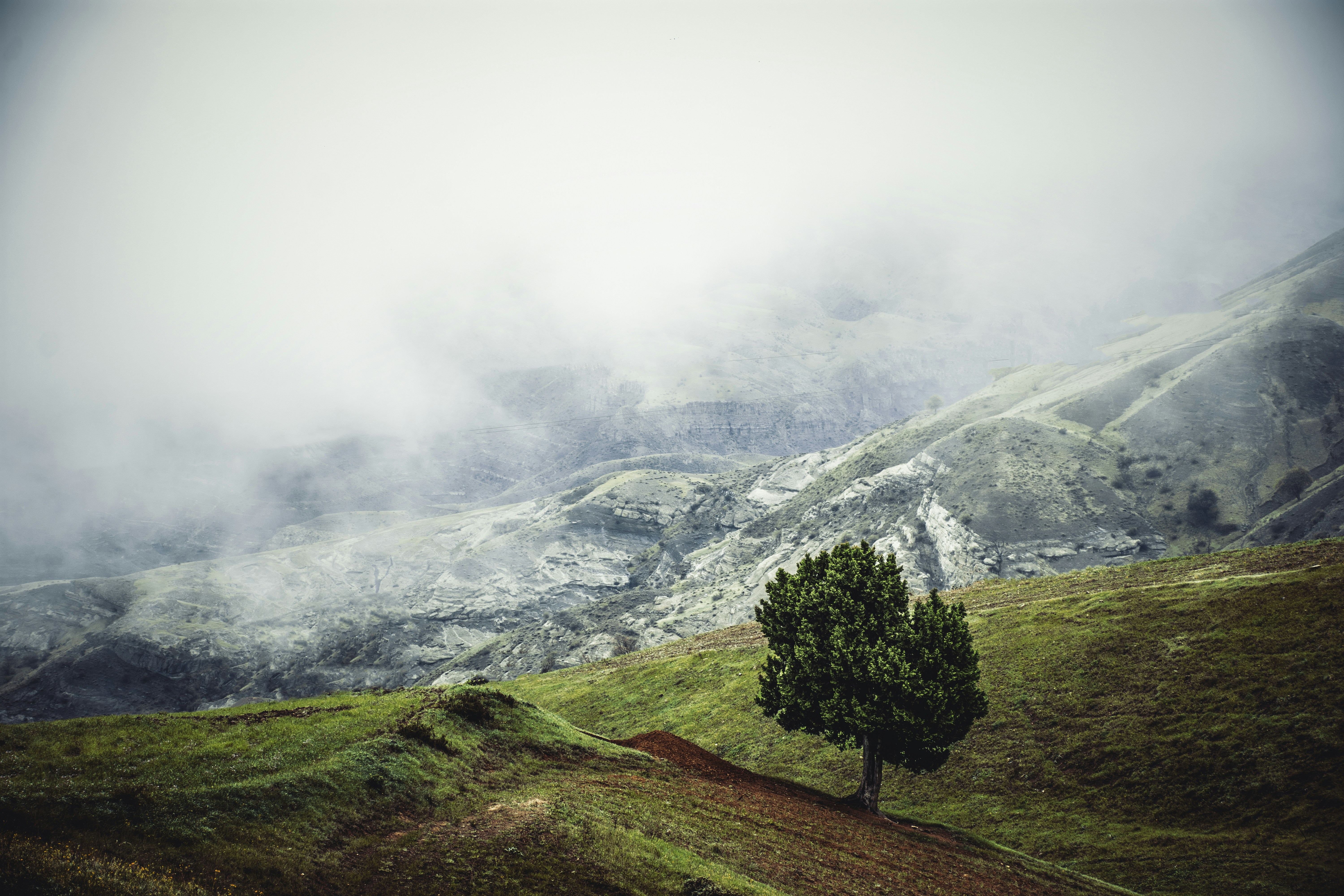 Photo by nima_maraghechi