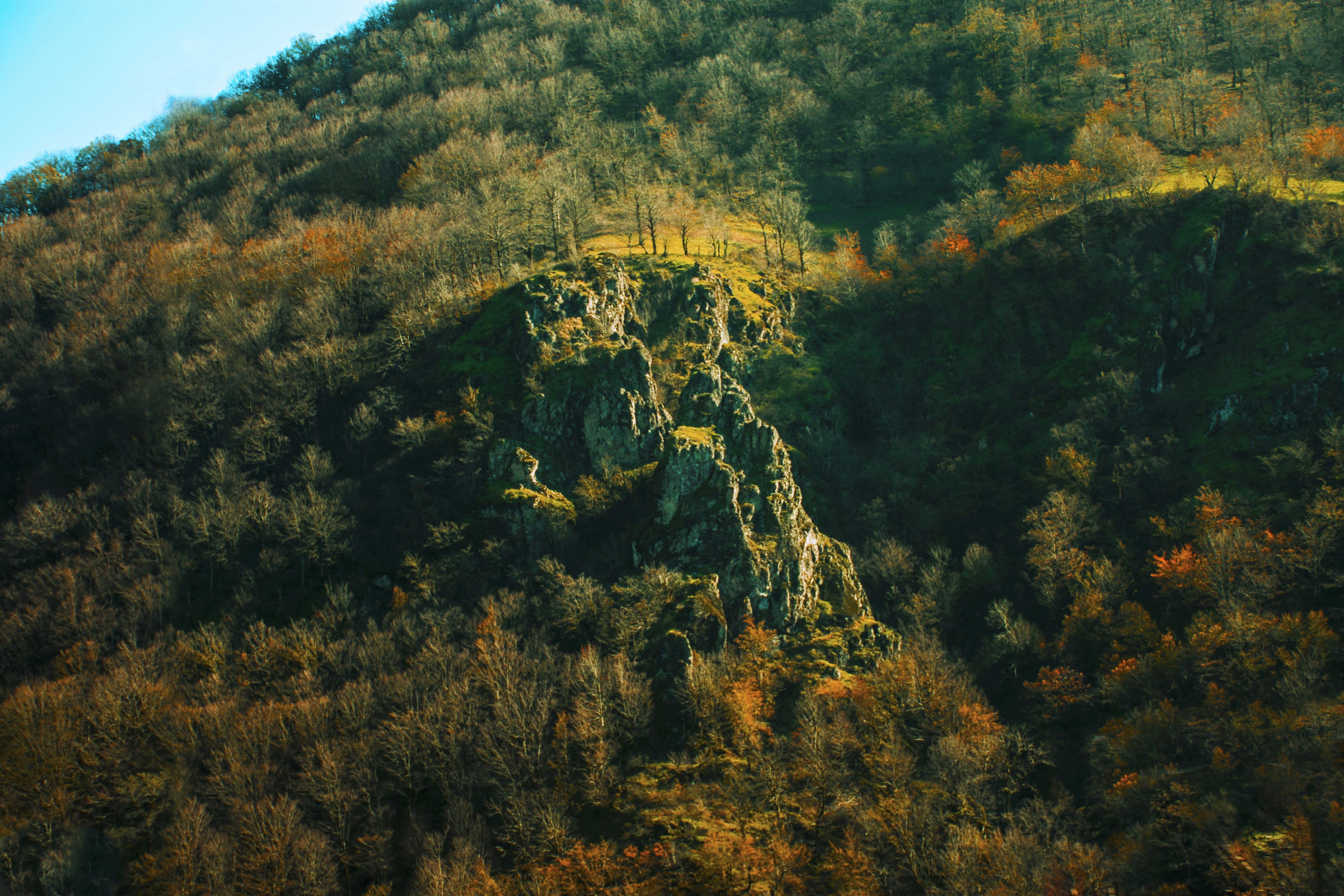 Photo by nima_maraghechi