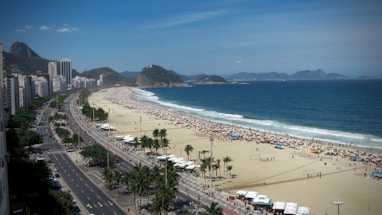 aerial view of people near ocean