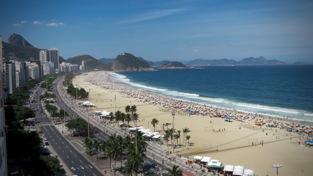 aerial view of people near ocean