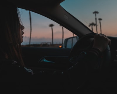 woman driving vehicle