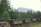 Several wooden mining carts are lined up on a track in a forested area with dense pine trees. Behind the trees, a large rocky mountain range rises against the background, partially obscured by mist or haze. The scene conveys a sense of abandonment and natural encroachment.